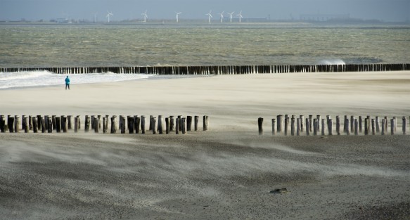 Westerschelde