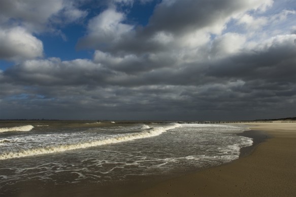 Kust