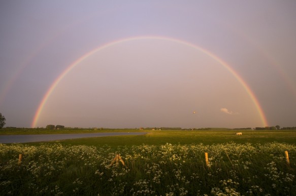Regenboog